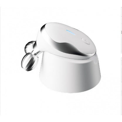 Electric Facial Massager with EMS and Microcurrent